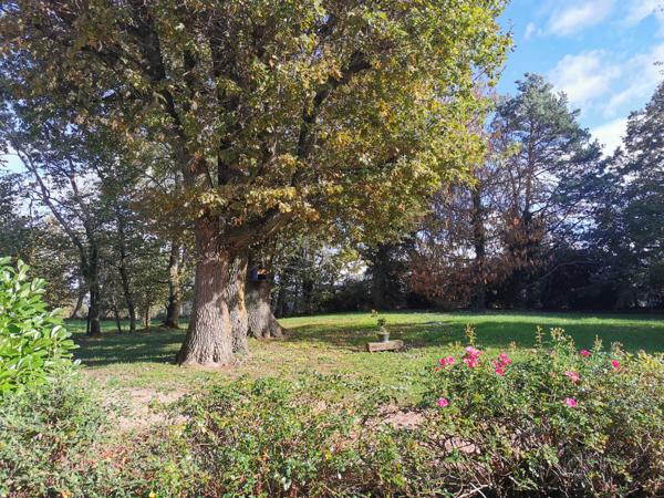 Isserpent (03120) Sur l'axe Roanne, Vichy, superbe longère traditionnelle, grand jardin arboré, possibilités d'aménagements