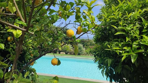 propriété de prestige alliant vue mer et montagne