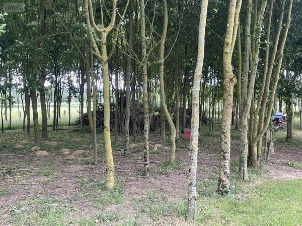 Maison à vendre à La Baconnière en Mayenne (53240), ref : 53005-2086