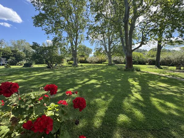 Arles (13200) Demeure de prestige ARLES 800 m2