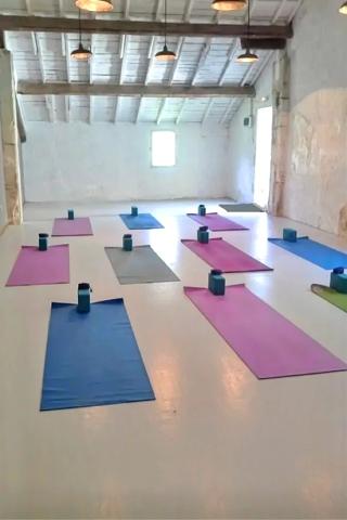 Arles (13200) Demeure de prestige ARLES 800 m2