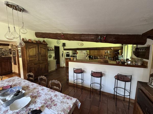 Arles (13200) Demeure de prestige ARLES 800 m2