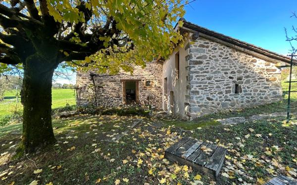 Maison à vendre    1 pièce •  Roussines