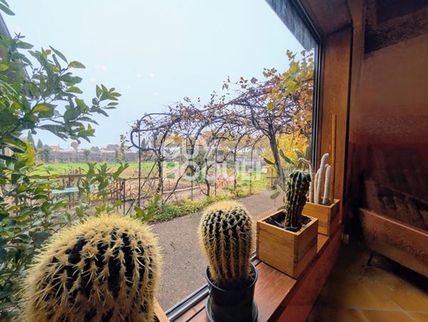 A VENDRE Maison Decines Charpieu