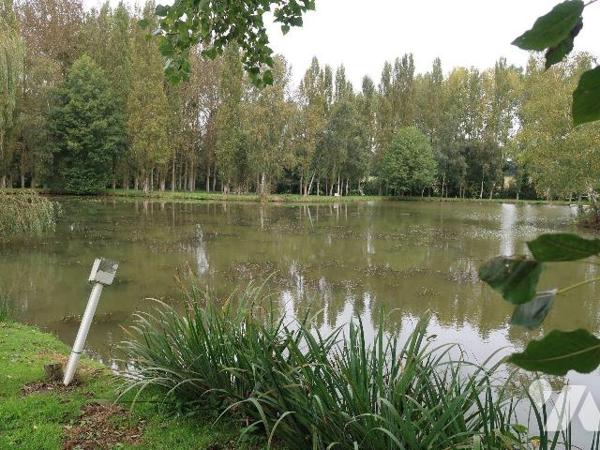 10  mn de Rennes. MELESSE, Bien situé, Etang avec un beau  terrain arboré, Environnement agréab...