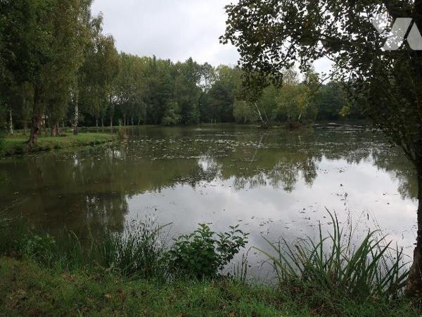 10  mn de Rennes. MELESSE, Bien situé, Etang avec un beau  terrain arboré, Environnement agréab...
