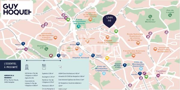 Studio Montpellier: première ville étudiante de France