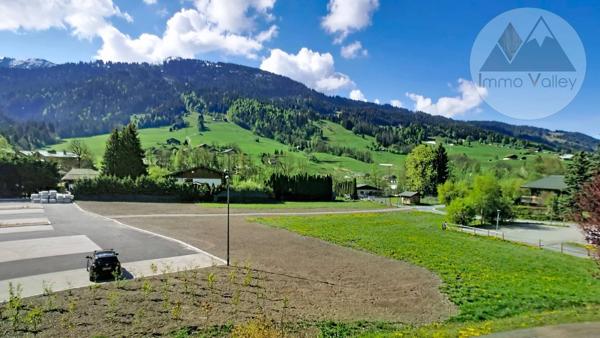 Appartement à vendre - Praz-sur-Arly 1 pièce de 24.58 m²