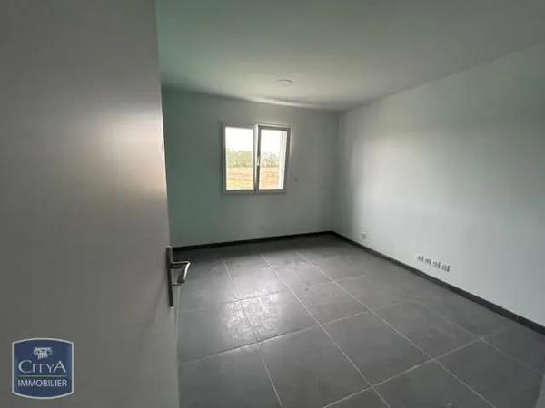 Location local professionnel