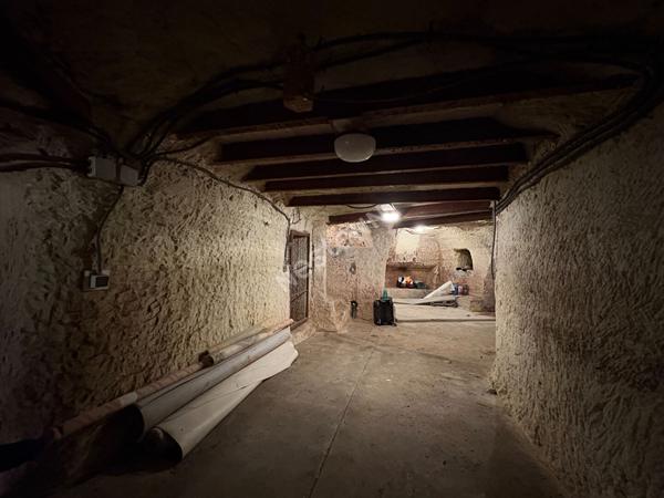 Cave dans la roche - ROCHECORBON - 100m2