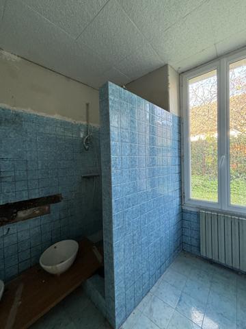 SAINTE COLOMBE SUR SEINE Ensemble deux de Maisons avec dépendances terrain proches des écoles. Sainte-Colombe-sur-Seine (21400)