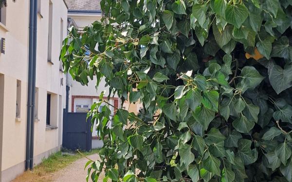 Appartement à vendre    3 pièces • 75,66 m2 Fleury-les-Aubrais