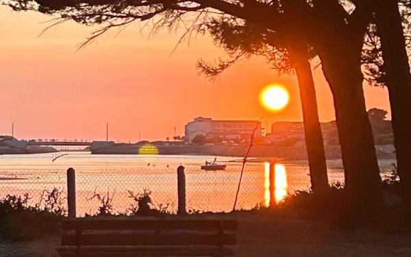 Appartement à vendre    3 pièces • 49,94 m2 Mimizan