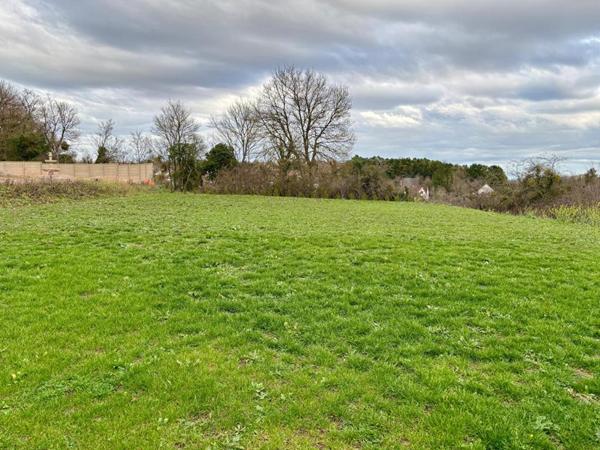 Maison contemporaine toit plat - 156 m² - Terrain de 1861 m²  - Secteur Nevers