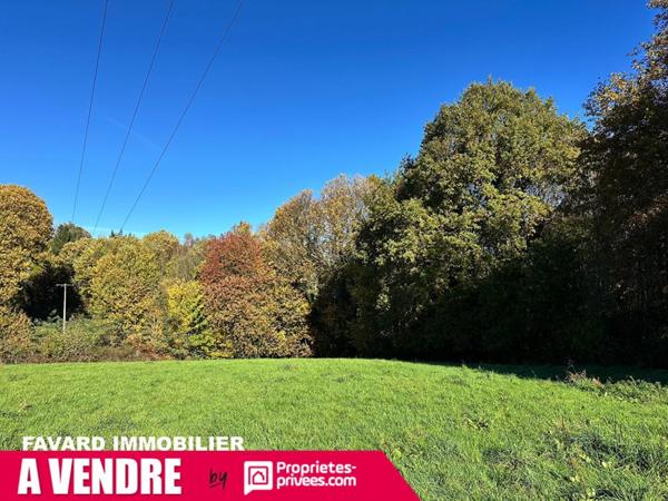 Terrain 8 903 m² - Saint-Sornin-Lavolps (à 2 pas de Pompadour)