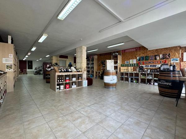 A Saint Loubès, Immeuble mixte de 388 m² - Appartement d'architecte spacieux - 6 pièces - 168 m2 - Local commercial de 220 m² - 385 m² de terrain -