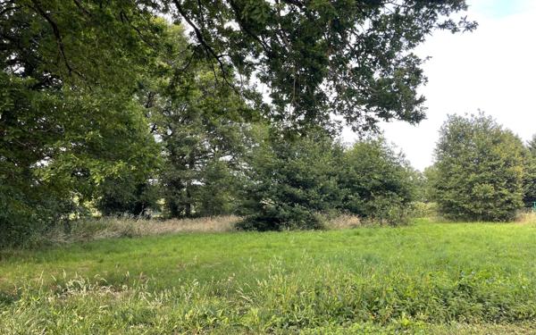 Terrain à vendre    Chaillac-sur-Vienne