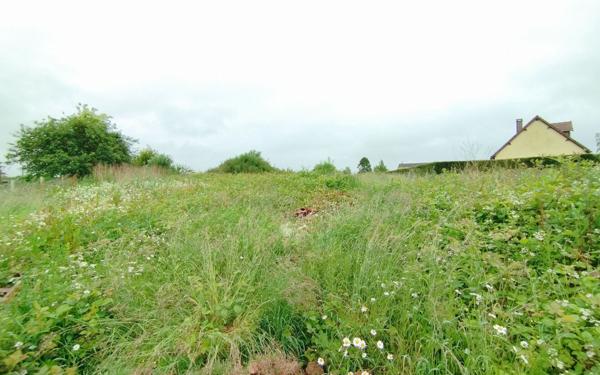 Terrain à vendre    Critot