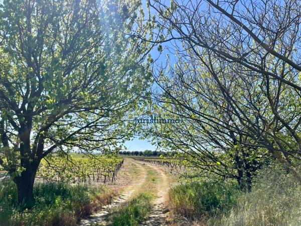 Camaret-sur-Aigues (84850) Charmant mas provençal de 150m2 habitables avec dépendances sur une magnifique parcelle de 6000m2.