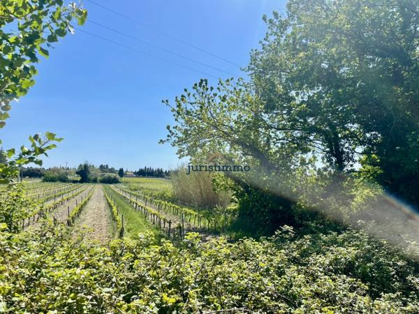 Camaret-sur-Aigues (84850) Charmant mas provençal de 150m2 habitables avec dépendances sur une magnifique parcelle de 6000m2.