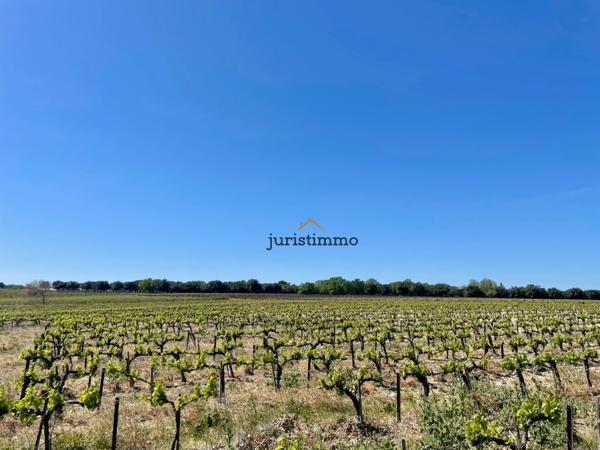 Camaret-sur-Aigues (84850) Charmant mas provençal de 150m2 habitables avec dépendances sur une magnifique parcelle de 6000m2.