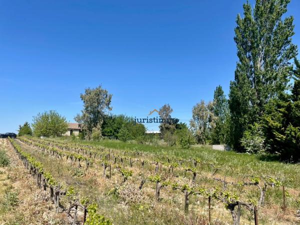 Camaret-sur-Aigues (84850) Charmant mas provençal de 150m2 habitables avec dépendances sur une magnifique parcelle de 6000m2.