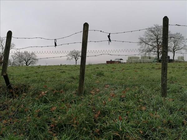 Terrain à vendre |  Saint-Genest |  2780 m²