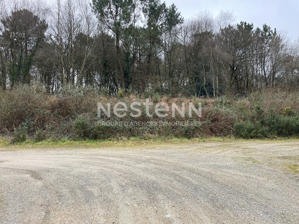 Terrain à bâtir Monterblanc / Bretagne Sud / Morbihan