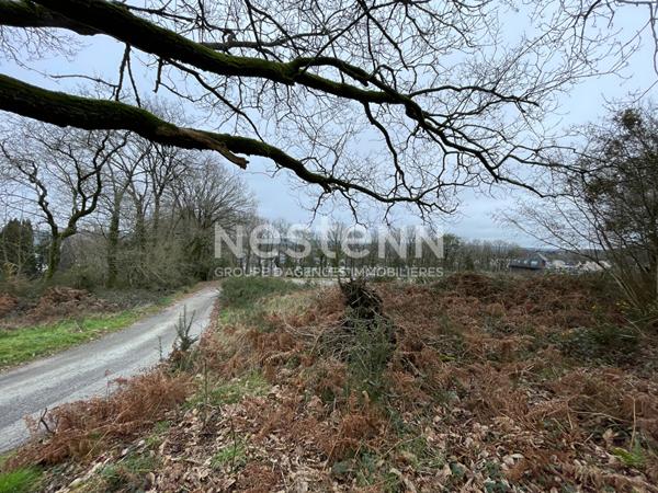 Terrain à bâtir Monterblanc / Bretagne Sud / Morbihan