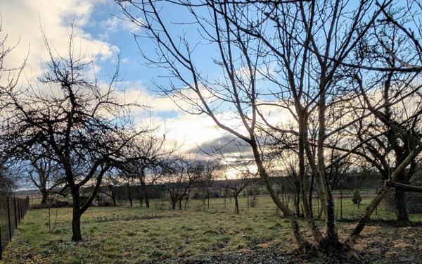 Maison à vendre    5 pièces •  Herméville-en-Woëvre