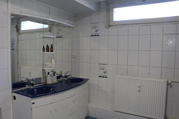 Appartement Saint Rambert D Albon 3 pièce(s)