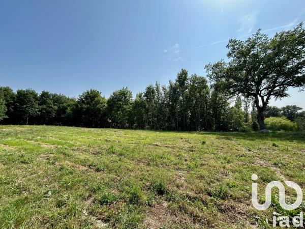 Terrain à vendre 600 m² Gaillac