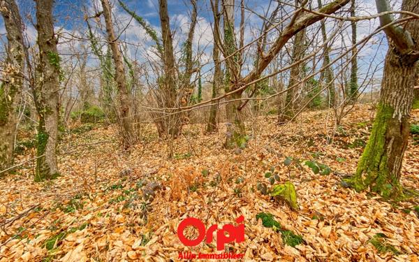 Maison à vendre    5 pièces • 177 m2 Montvicq