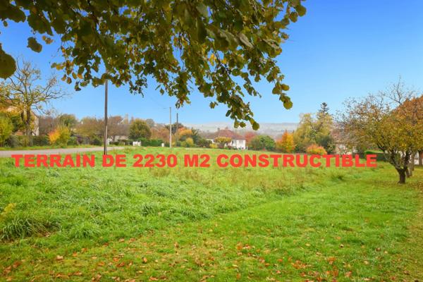 Terrain à vendre de 2 230,00 m² SAINT LEGER SUR DHEUNE (71)