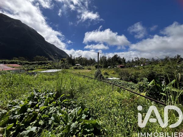 Maison à vendre 4 pièces 80 m² La Plaine-des-Palmistes