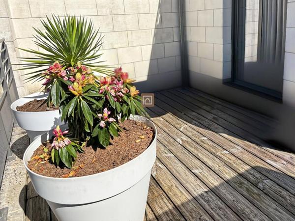 Bordeaux Maison d'architecte d'exception Jardin, Terrasse et Garage