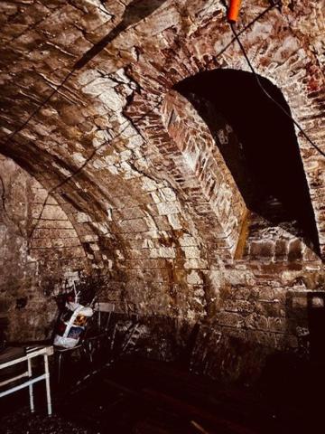 commerce neutre et son logement