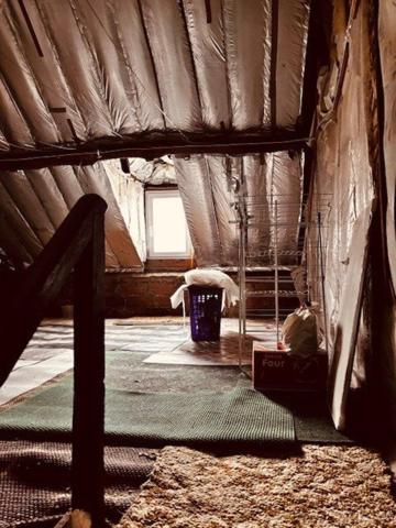 commerce neutre et son logement