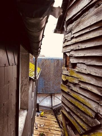 commerce neutre et son logement