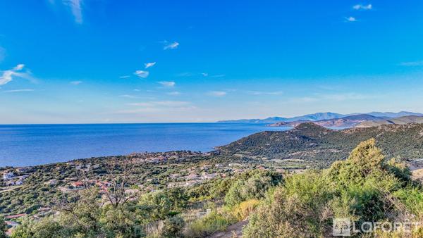 Achat terrain Monticello - 15840 m² - 735 000 €