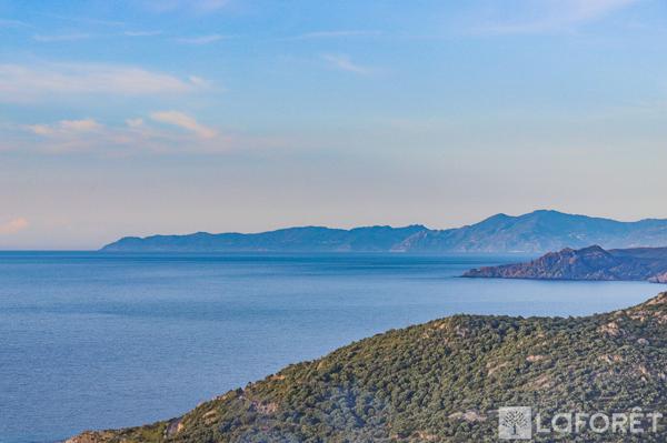 Achat terrain Monticello - 15840 m² - 735 000 €