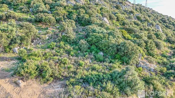 Achat terrain Monticello - 15840 m² - 735 000 €