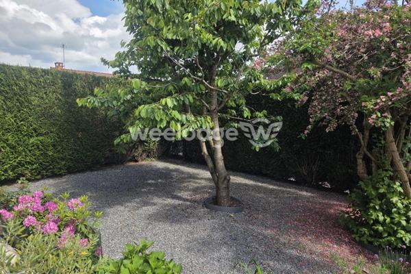 Maison à vendre 7 pièces de 165 m² à Hautmont