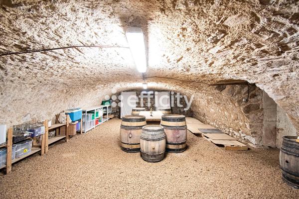 Maison 13 pièces - 480 m² Bien prestige