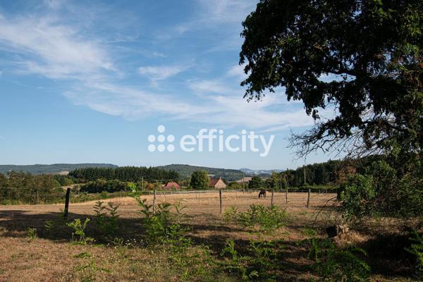 Maison 13 pièces - 480 m² Bien prestige