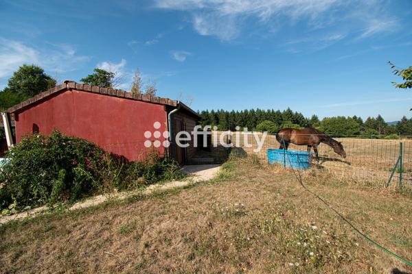 Maison 13 pièces - 480 m² Bien prestige