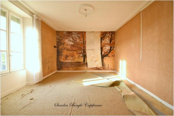 Maison à vendre 6 pièces MONTJEAN (53)