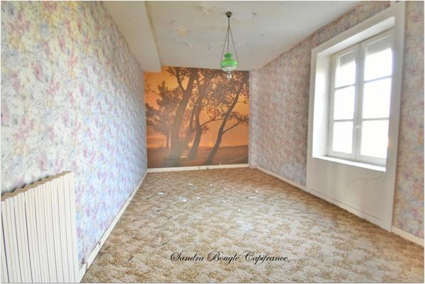 Maison à vendre 6 pièces MONTJEAN (53)