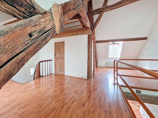 ORLEANS SAINT EUVERTE - APPARTEMENT - 91M2 - 2 CHAMBRES ET 1 BUREAU -