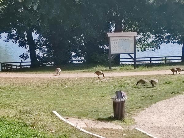 Appartement 74 m2, 4 pièces, 2 chambres, cave